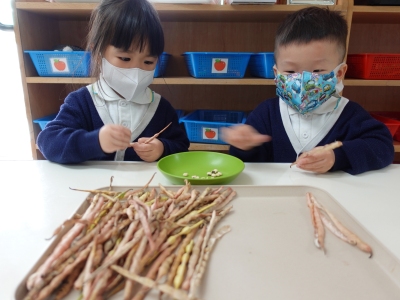 幼小活動花絮